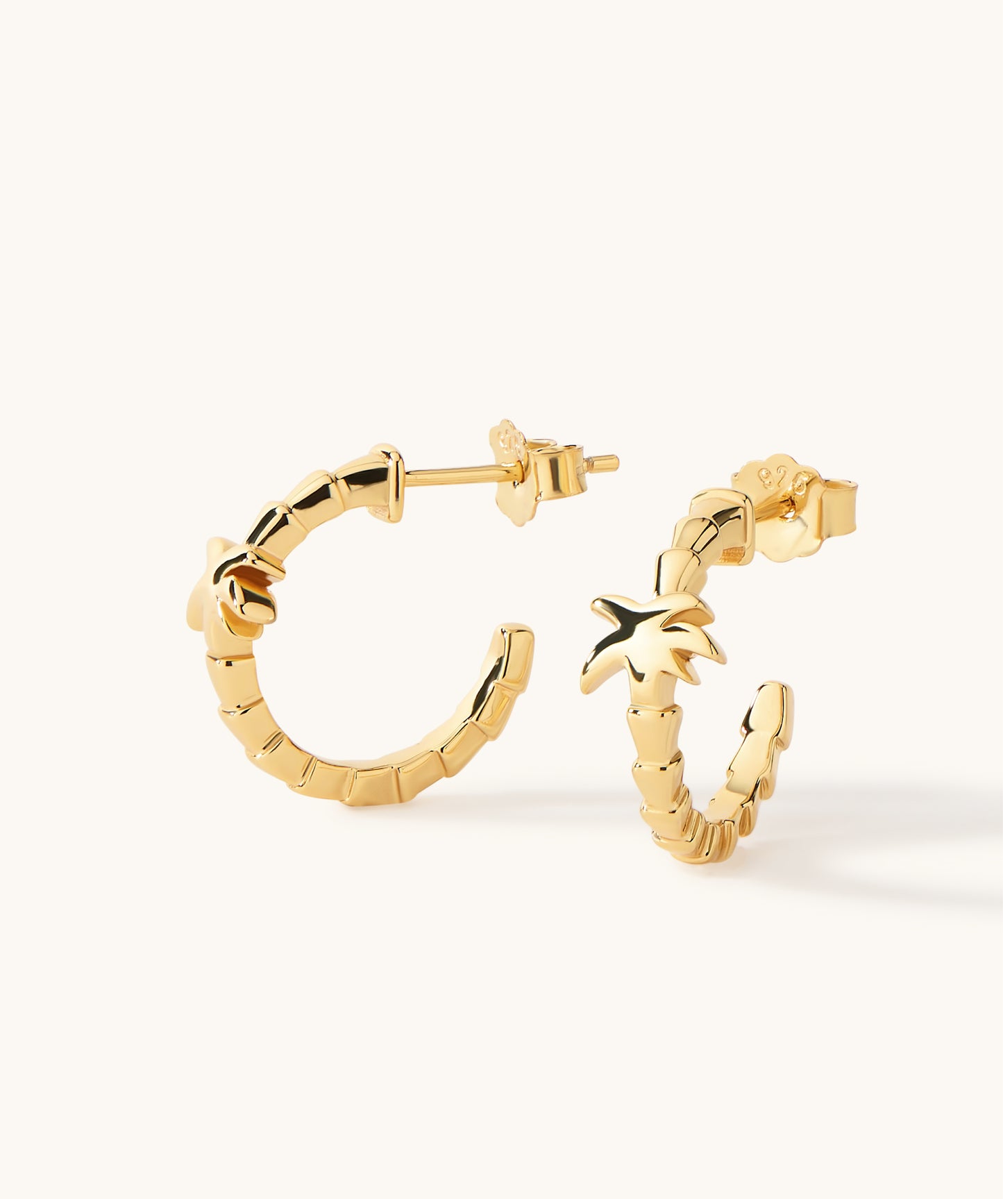 Hermosa Hoop Earrings
